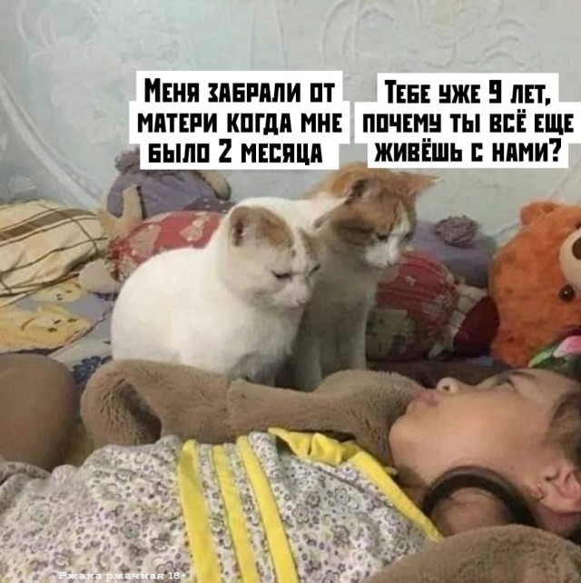 Так себе картинки 13.02.25