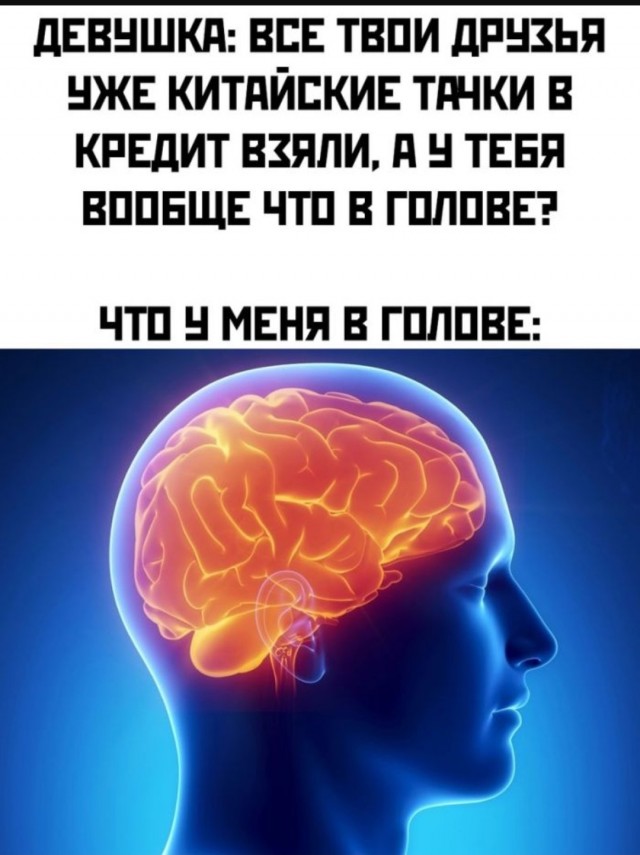 Жалуются на бояны местные.