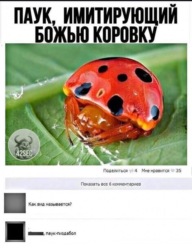 Завалялось тут случайно немного забавных картинок