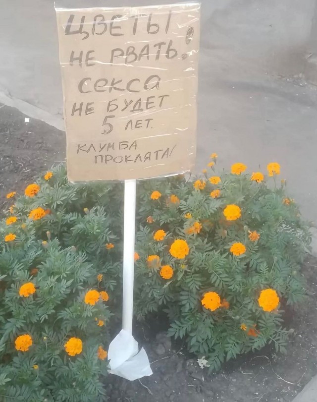 Прикольные и просто красивые картинки 19.09.2025