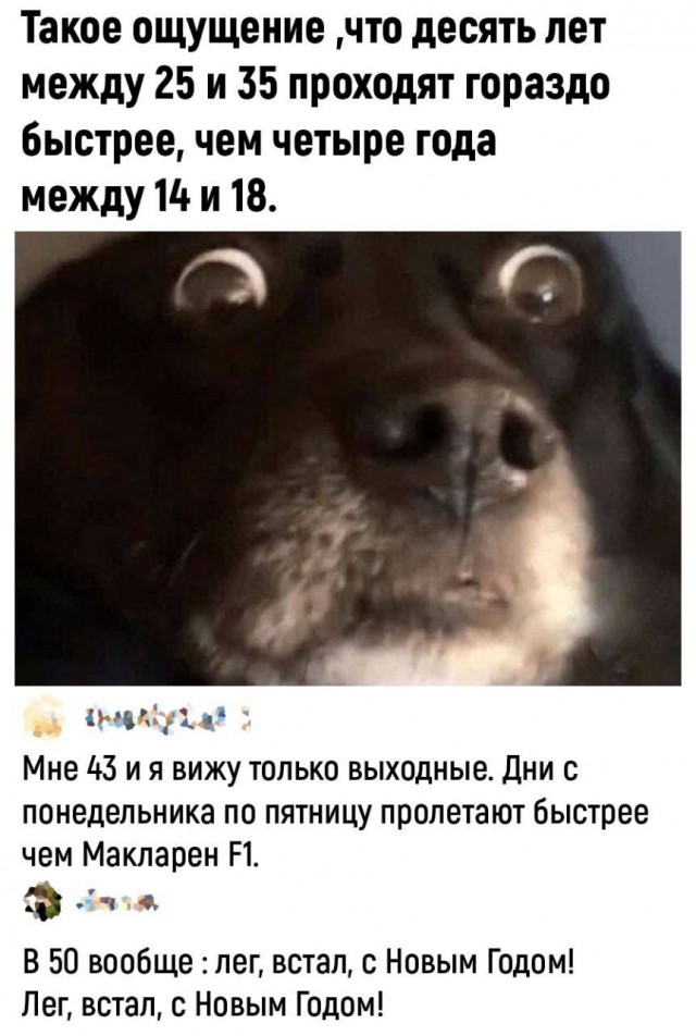 Картинки для деградации 80 (разной степени свжести)