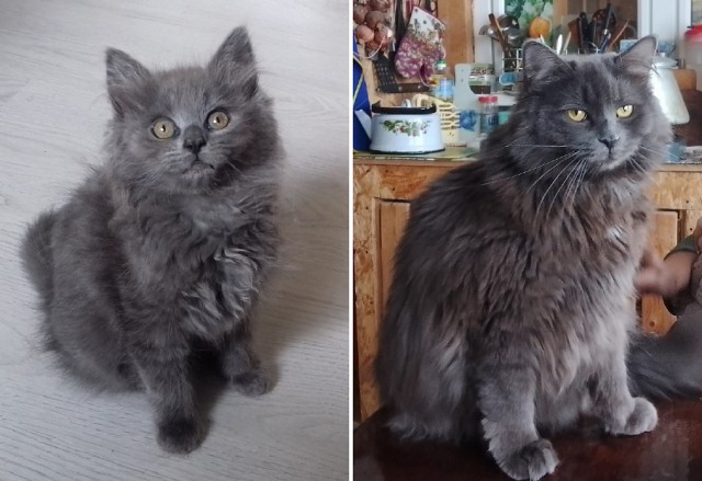 Возвращение доверия