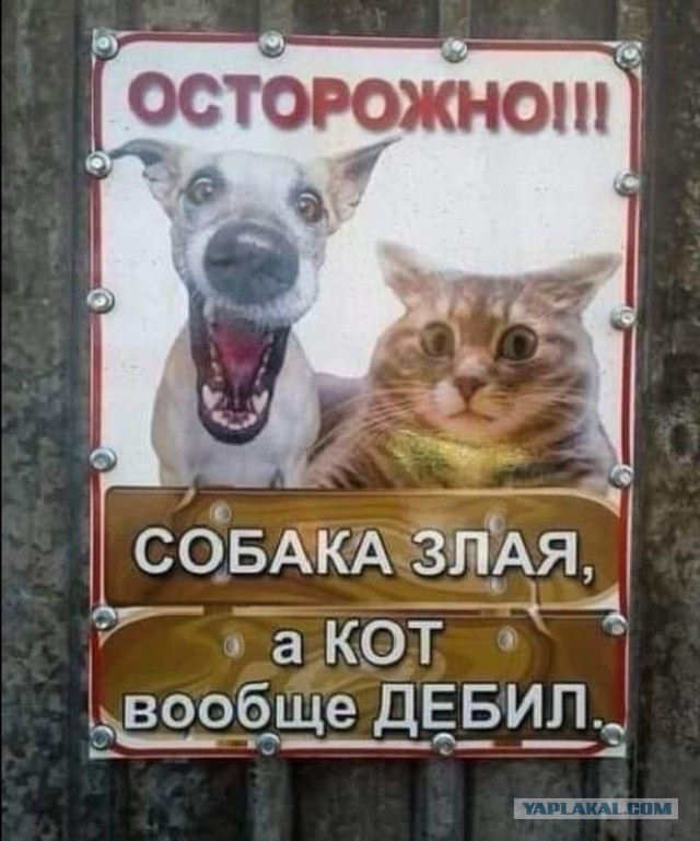 Это пранк