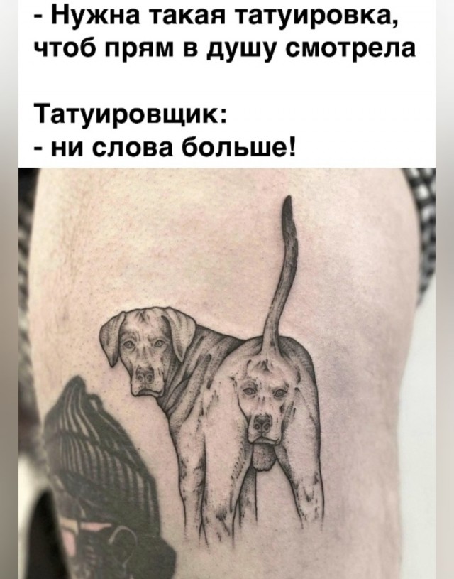 Картинки для деградации 130 (разной степени свежести)