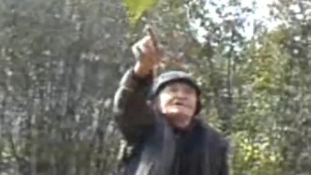 Начинающий столяр - первые шаги