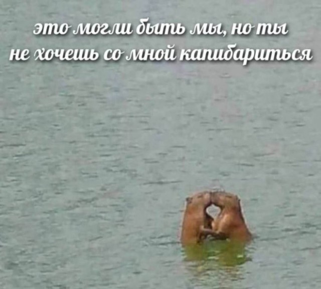 Картиночки, баянчики 07 февраля
