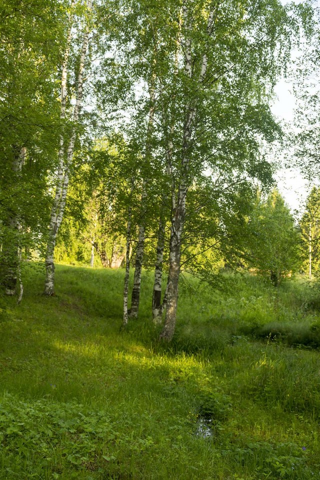Деревенская Америка - 10
