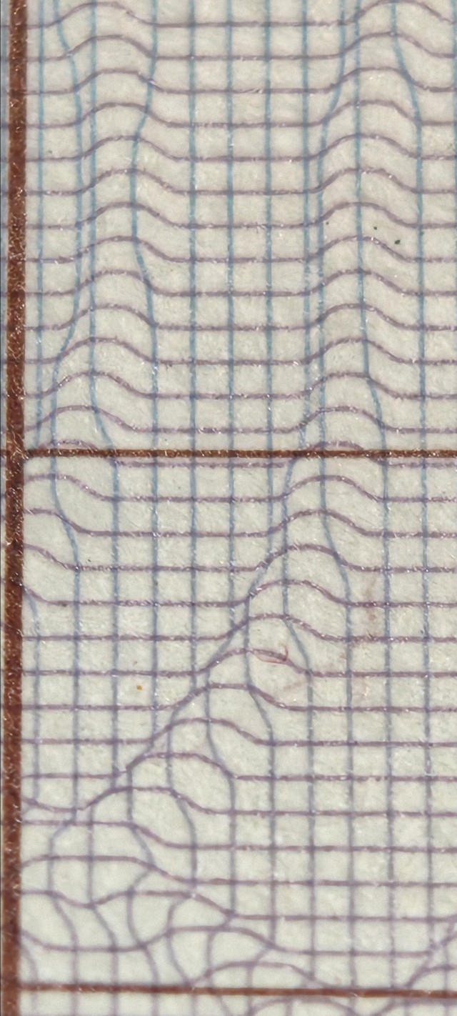 Чел случайно раскрыл секрет российского паспорта камерой смартфона