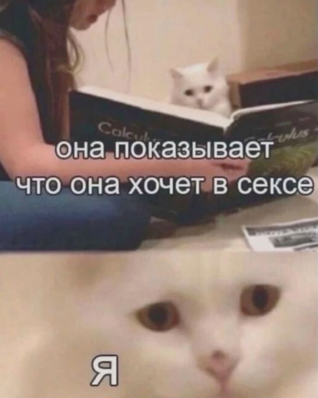 Картинки для деградации 216 (разной степени свежести)