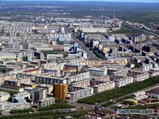 Воркута. Полярный день. Только что, через форточку.