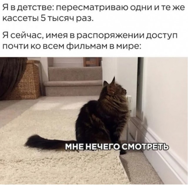 Картинки для деградации 223 (разной степени свежести)