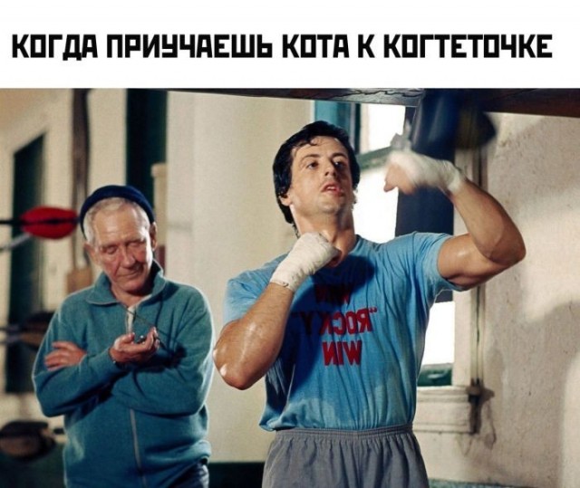 Картинки для деградации 233 (разной степени свежести)