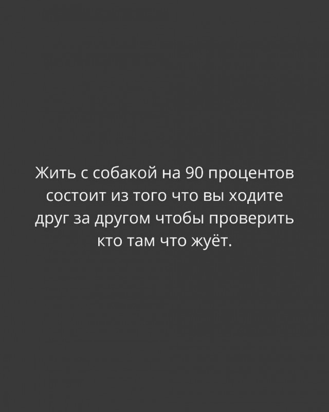 Веселое настроение в картинках 13.08.26
