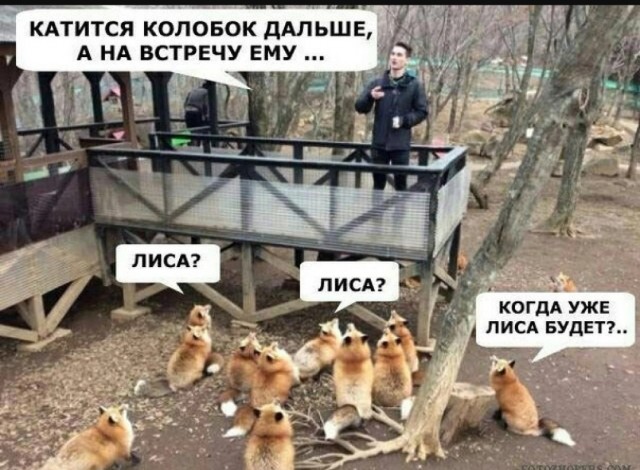 Это вам не люди, с ними можно договориться