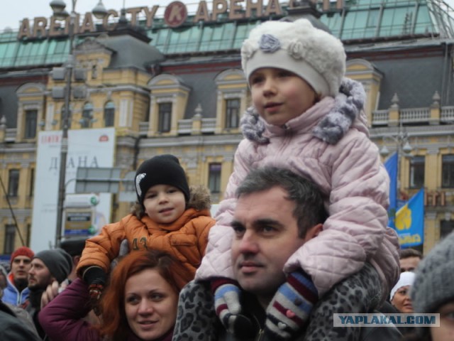 Беркут пошел на штурм