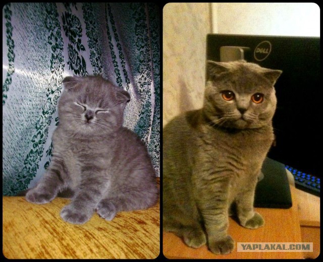 Потери 2013