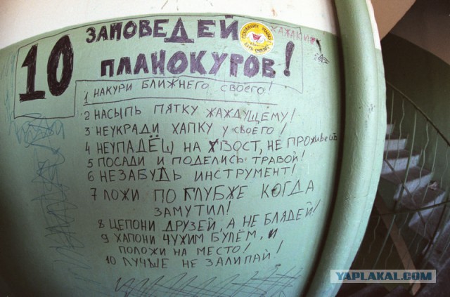 Всемирный заговор против конопли