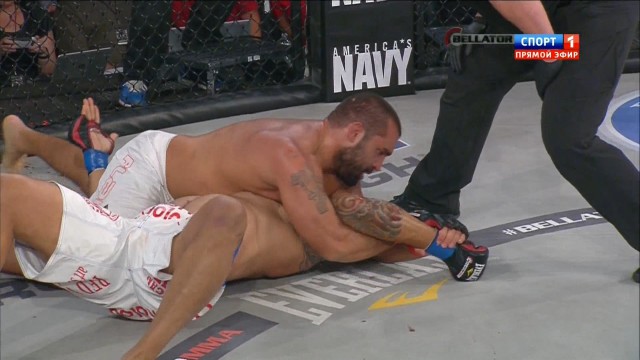 БОКС/MMA....