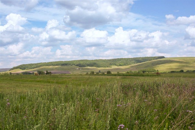 Деревенская Америка