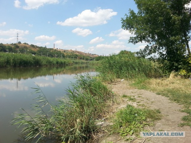 Как провести день, или сказка наяву!