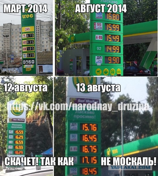 добро скачет