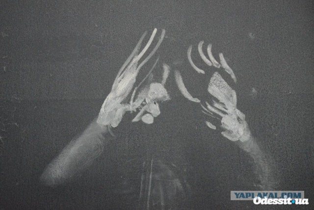 Войска ДНР вошли в Запорожскую область