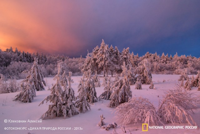 National Geographic,избранное...