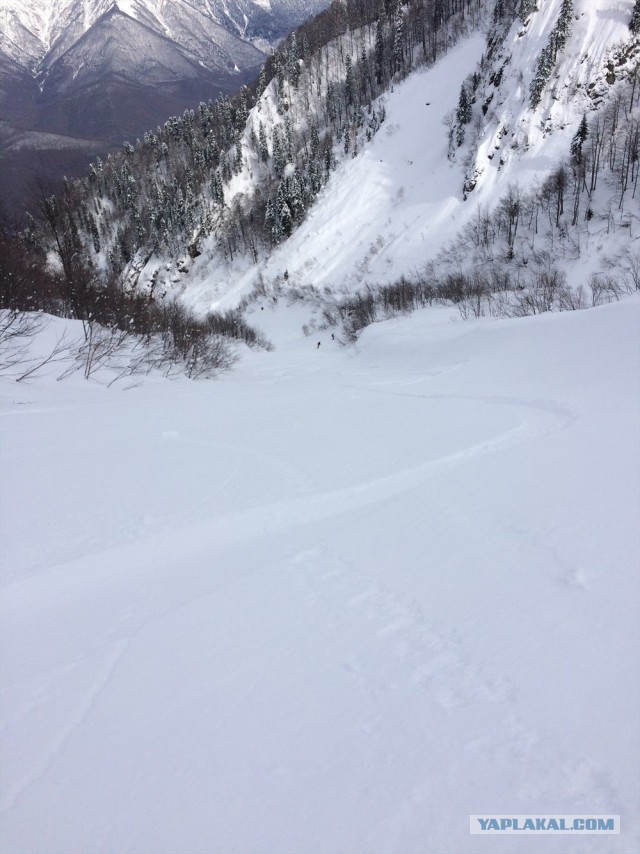 Красная Поляна 2015
