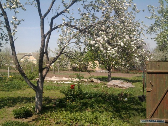 Апрель 2012