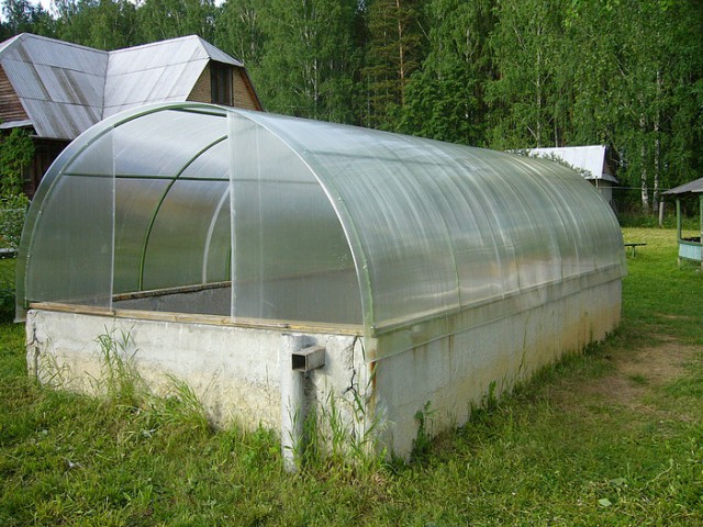 Правильная теплица