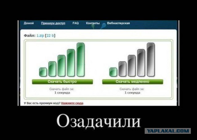 41 веселая картинка
