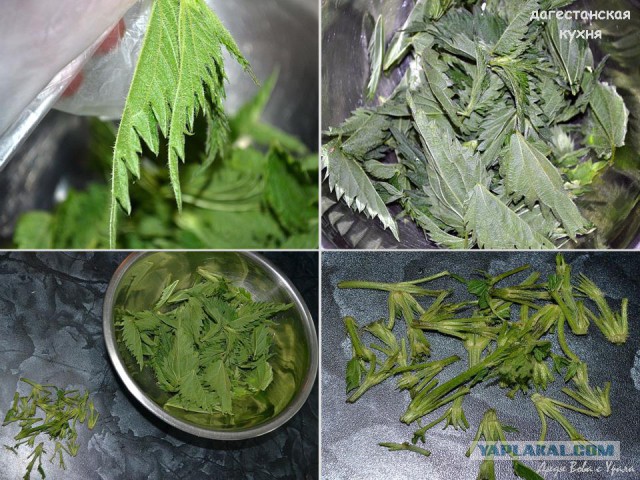 Шведский стол для Ати, Кулинары поздравляют