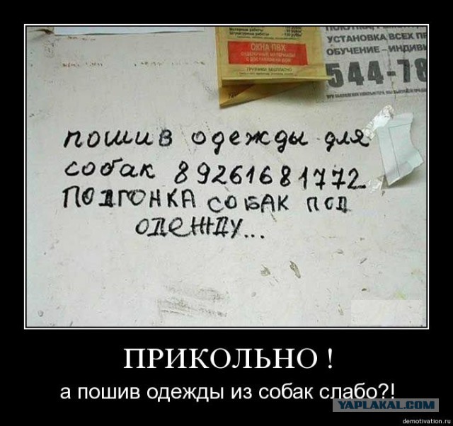 Подборка демотиваторов