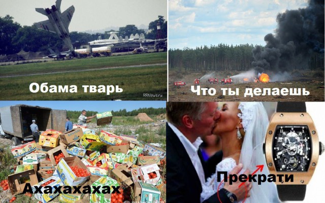 Только выиграли от обвала рубля