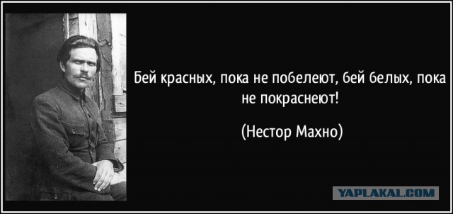 Вы пойдете за белых или за красных?