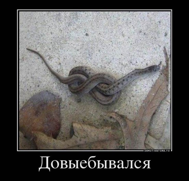 Негр наорал на занимающегося ММА