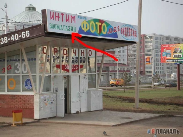 ВЫВЕСКИ, ТАБЛИЧКИ. Смешные и прикольные