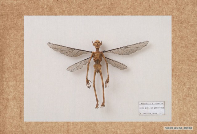 Известные и малоизвестные мифические существа мира