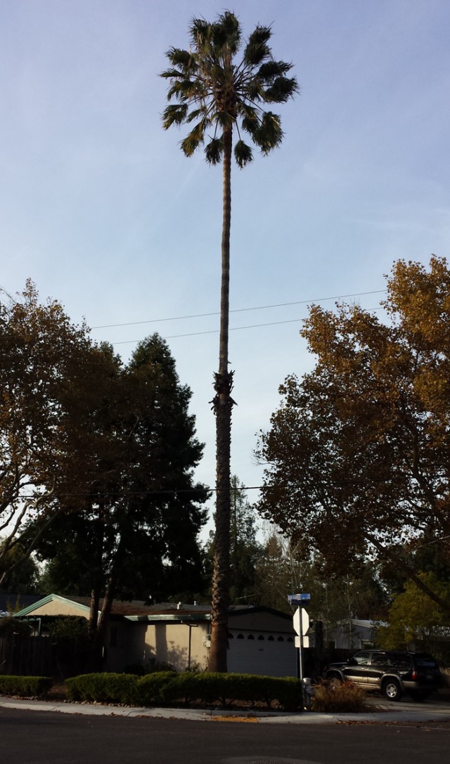 Деревенская Америка