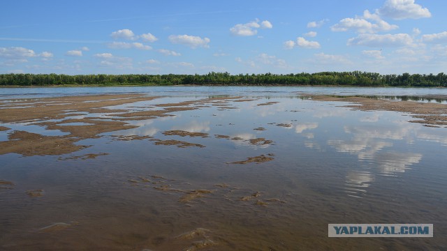 Я узнал, что у меня есть огромная семья