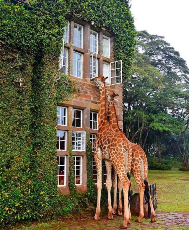 Подборка картинок 29.03.16