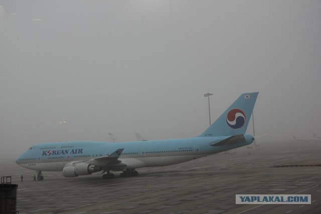 Отчет: командировка в Китай Март-Апрель 2016