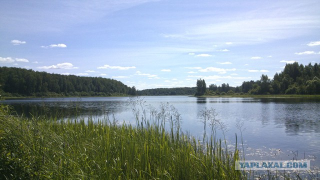 Случайная встреча с чужой катастрофой