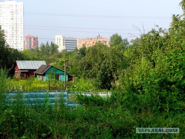 Подборка "тёплых, уютных, домашних" фотографий. Часть 8