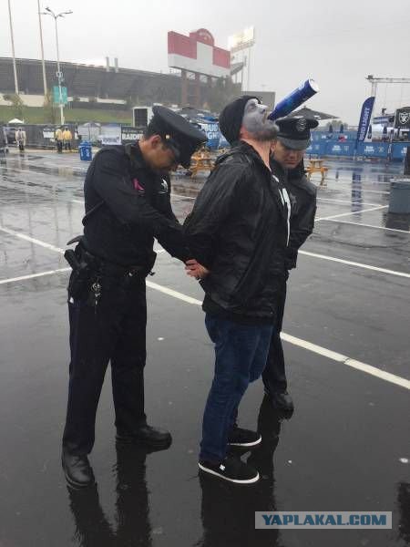 Разные картинки