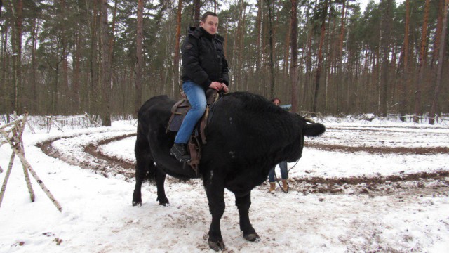 Снег. Лес. Волки. Фотоаппарат.