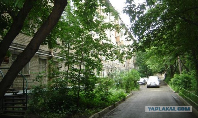 Тайга, страшные истории