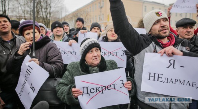 Марш Тунеядцев. Что дальше? Программа тунеядцев