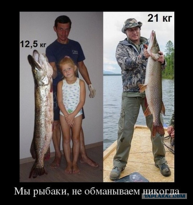 После прямой линии с Путиным