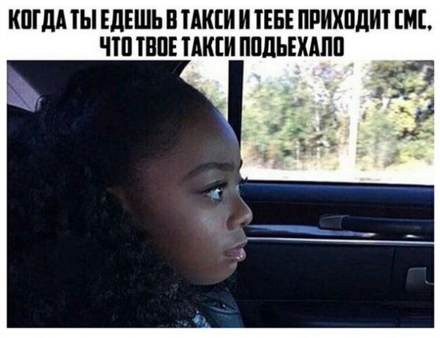 100 картинок для поднятия настроения!